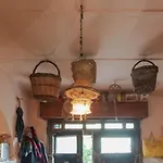 Centro Studi Nuovarmonia *