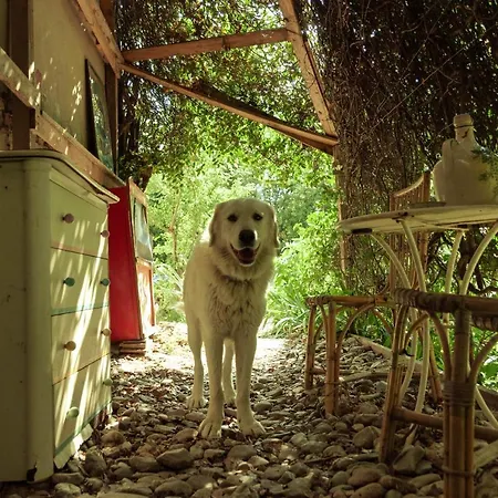 Centro Studi Nuovarmonia אכסניה