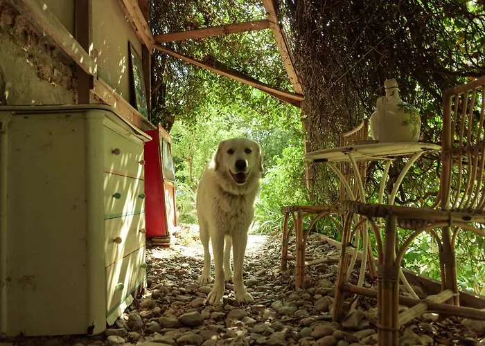 Centro Studi Nuovarmonia אכסניה