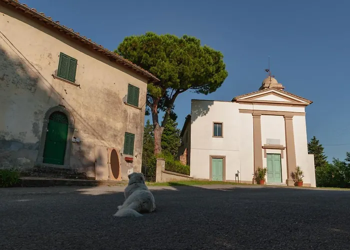 Centro Studi Nuovarmonia *