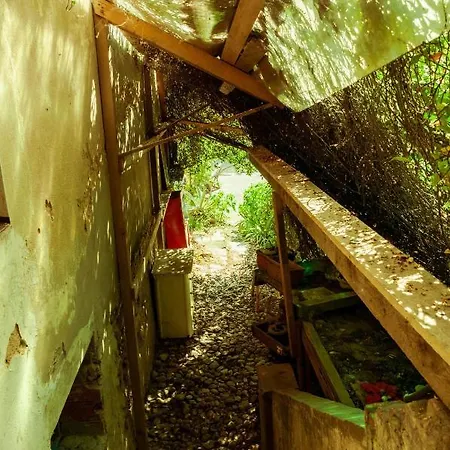 Hostel Centro Studi Nuovarmonia Cedri