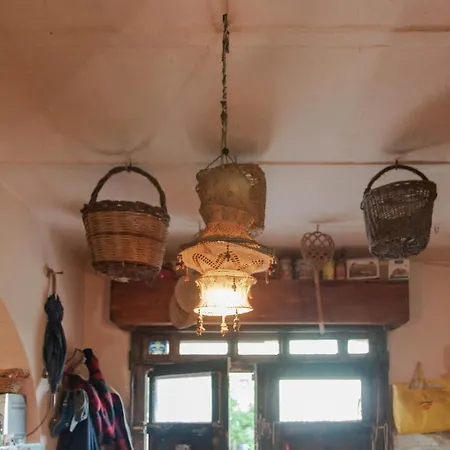 Centro Studi Nuovarmonia *