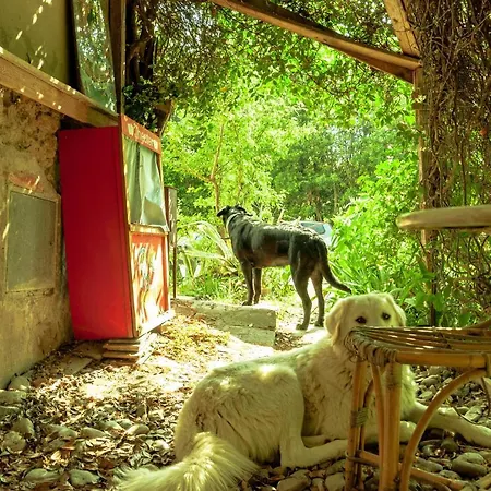 Hostel Centro Studi Nuovarmonia *