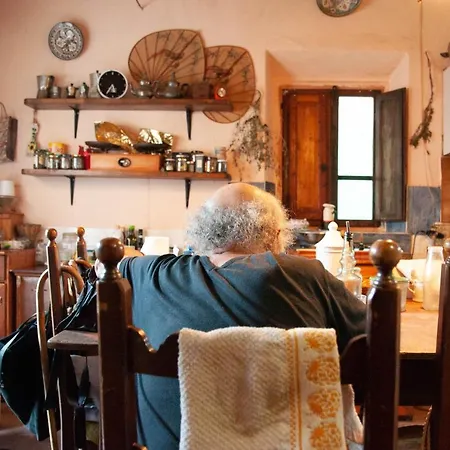 Centro Studi Nuovarmonia Cedri