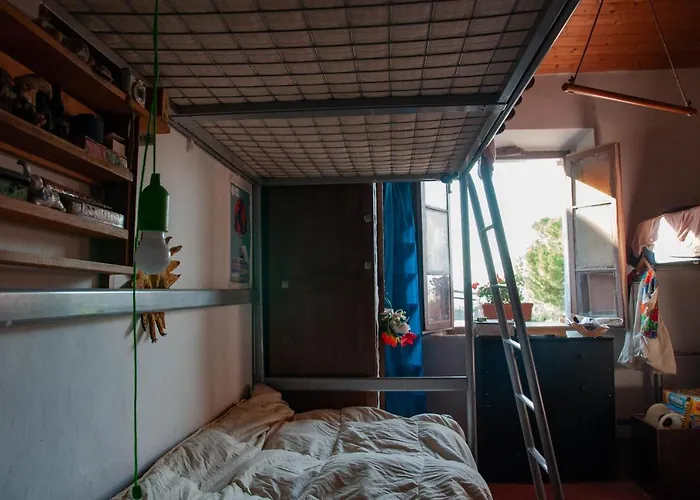 Centro Studi Nuovarmonia *