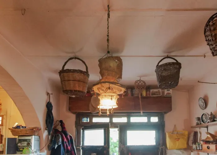 Centro Studi Nuovarmonia *