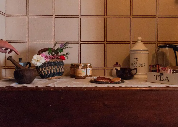 Centro Studi Nuovarmonia