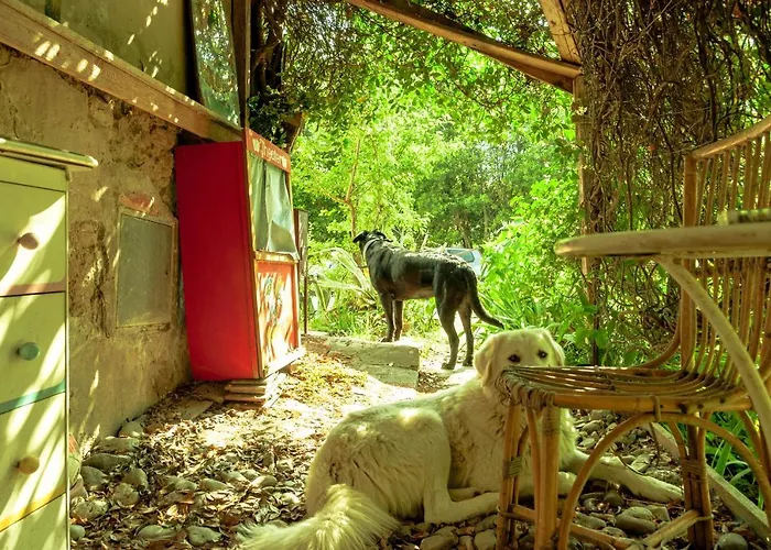 ホステル Centro Studi Nuovarmonia *