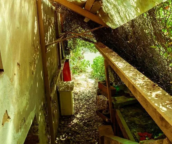 Hostel Centro Studi Nuovarmonia Cedri